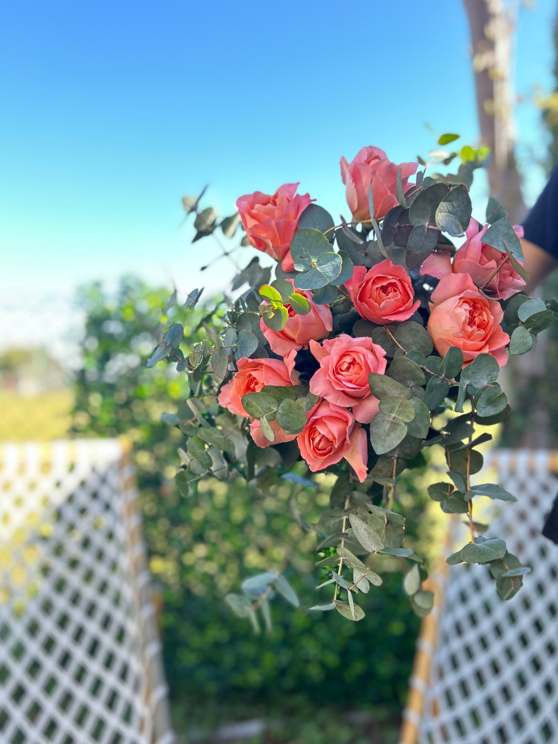 Bouquet 9 roses