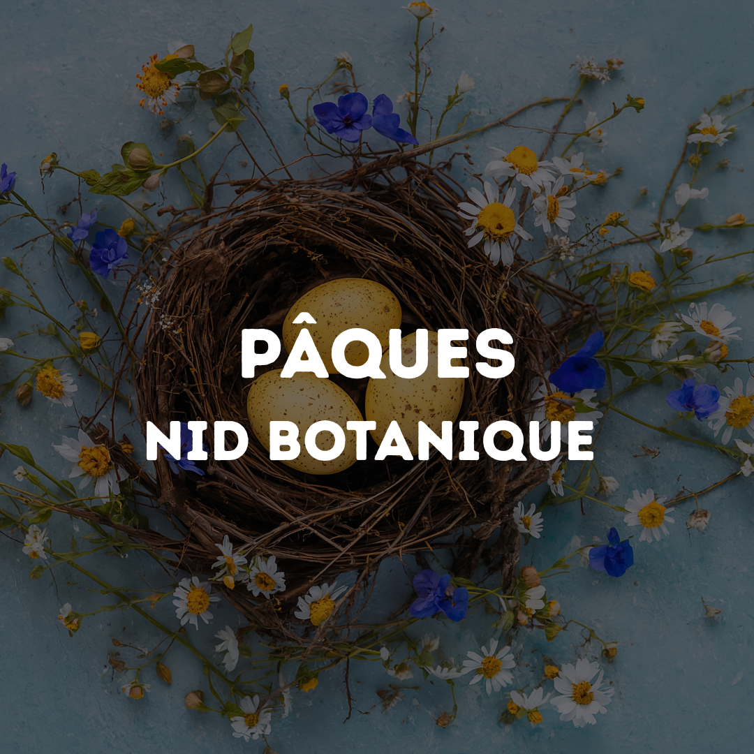 Cours d'art floral