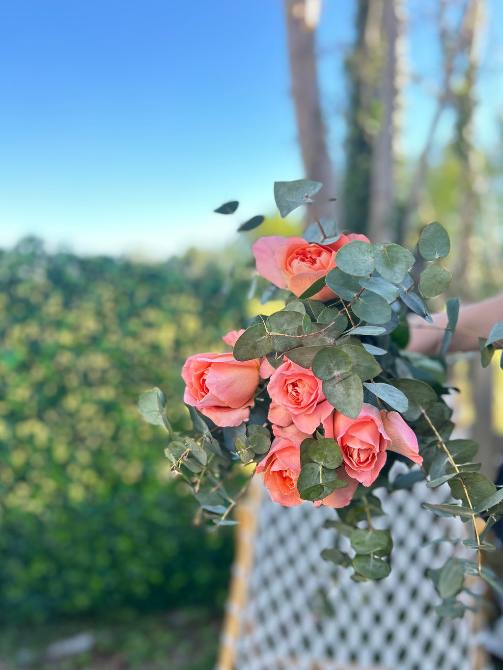 Bouquet 5 roses